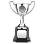 Nickel Plated Trophy thumbnail